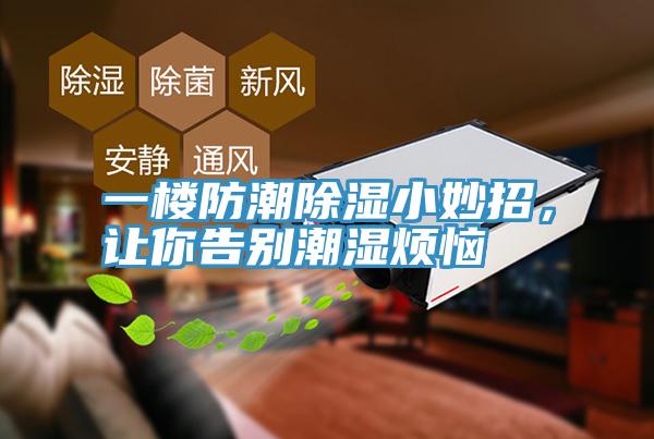 一樓防潮除濕小妙招，讓你告別潮濕煩惱