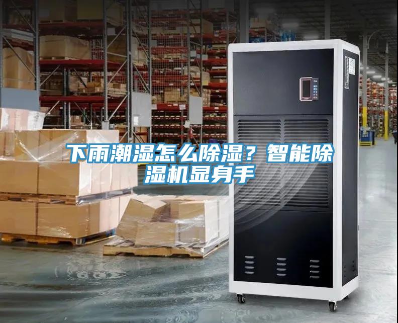 下雨潮濕怎么除濕？智能除濕機顯身手