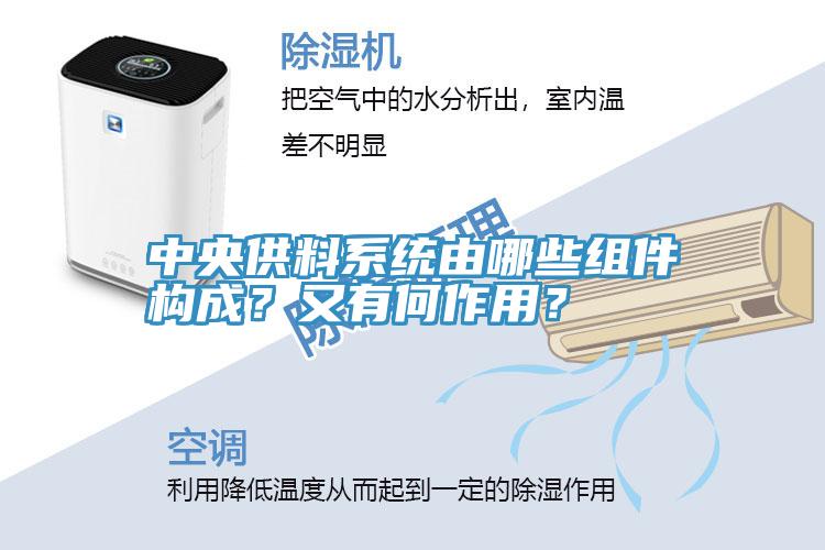 中央供料系統(tǒng)由哪些組件構(gòu)成？又有何作用？