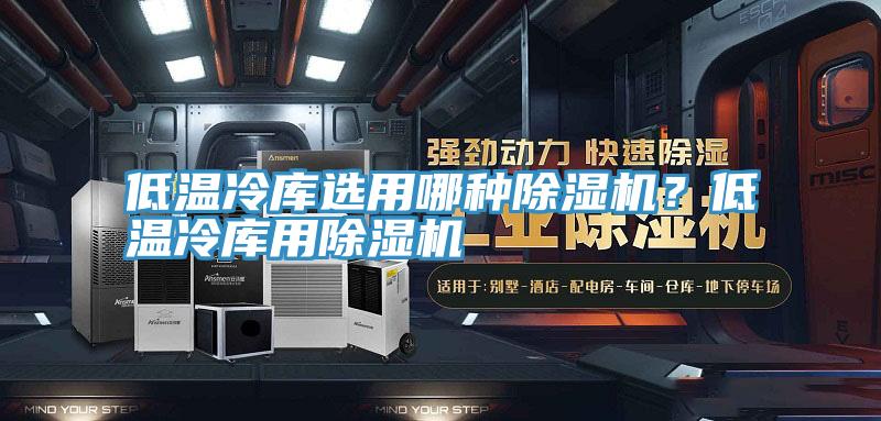 低溫冷庫選用哪種除濕機(jī)？低溫冷庫用除濕機(jī)