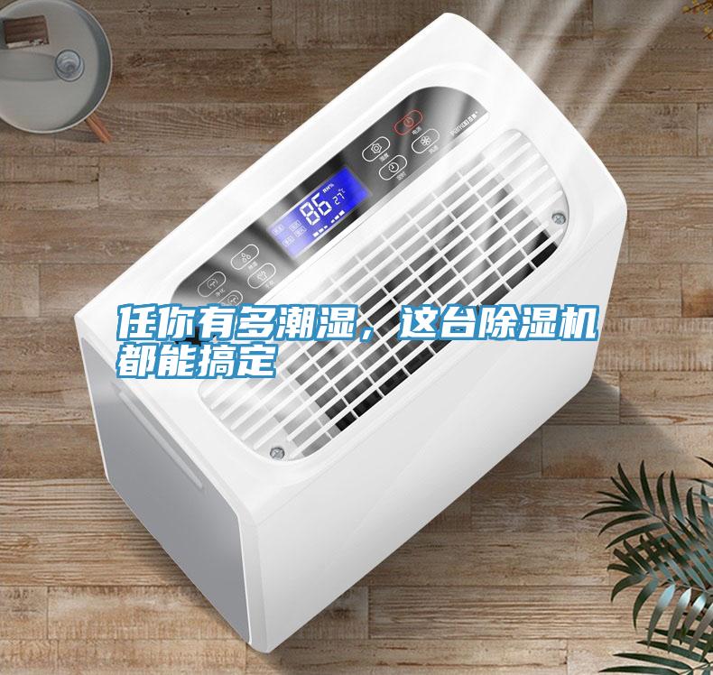 任你有多潮濕，這臺(tái)除濕機(jī)都能搞定