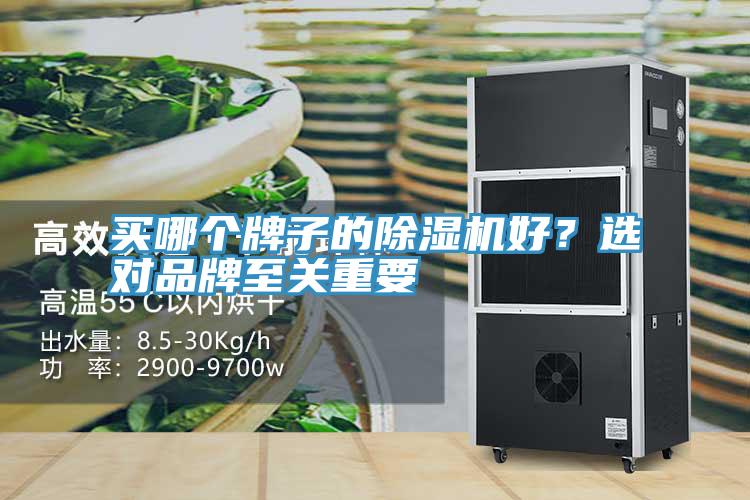 買(mǎi)哪個(gè)牌子的除濕機(jī)好？選對(duì)品牌至關(guān)重要