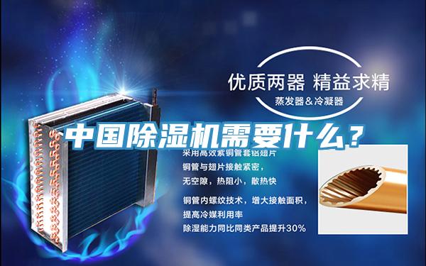中國除濕機需要什么？