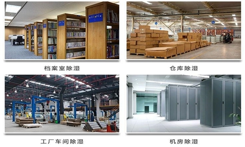 為什么竹筍烘干房需要除濕機？