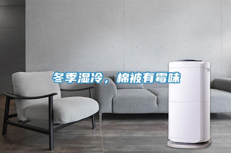 冬季濕冷，棉被有霉味
