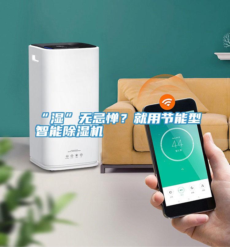 “濕”無忌憚？就用節(jié)能型智能除濕機(jī)