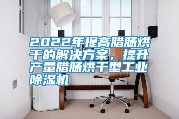2022年提高臘腸烘干的解決方案，提升產(chǎn)量臘腸烘干型工業(yè)除濕機(jī)