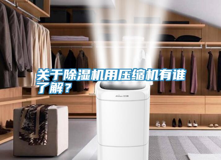 關(guān)于除濕機用壓縮機有誰了解？