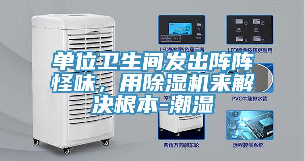 單位衛(wèi)生間發(fā)出陣陣怪味，用除濕機(jī)來(lái)解決根本-潮濕