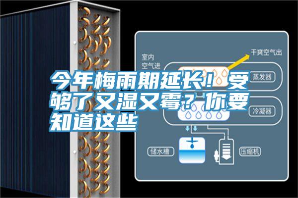 今年梅雨期延長！受夠了又濕又霉？你要知道這些