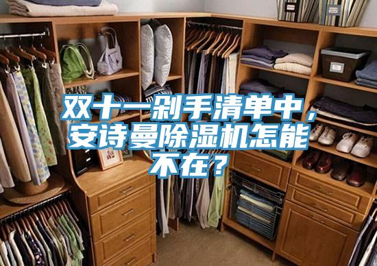 雙十一剁手清單中，安詩曼除濕機(jī)怎能不在？