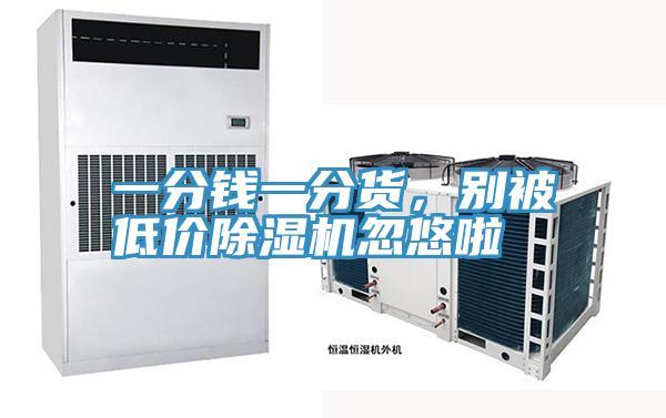 一分錢一分貨，別被低價除濕機忽悠啦