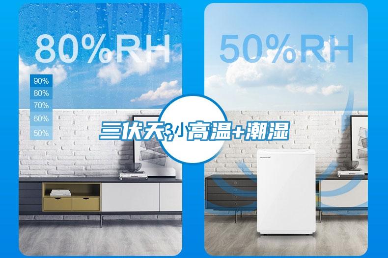 三伏天，高溫+潮濕