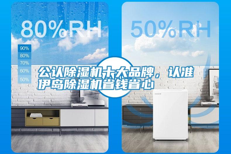 公認(rèn)除濕機(jī)十大品牌，認(rèn)準(zhǔn)伊島除濕機(jī)省錢(qián)省心