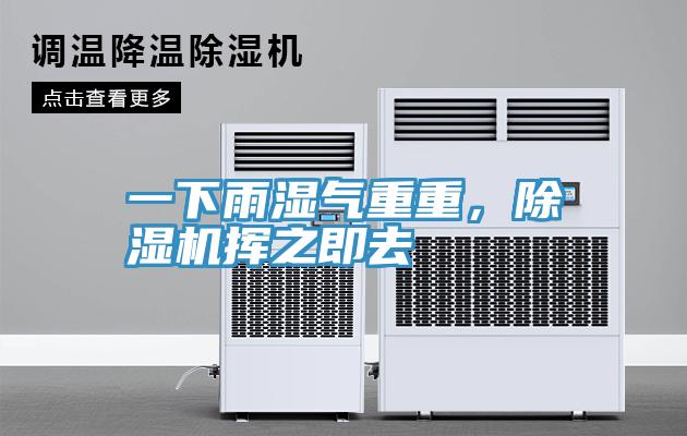一下雨濕氣重重，除濕機揮之即去