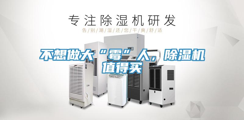 不想做大“霉”人，除濕機(jī)值得買(mǎi)