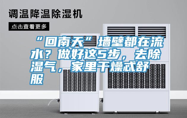 “回南天”墻壁都在流水？做好這5步，去除濕氣，家里干燥忒舒服
