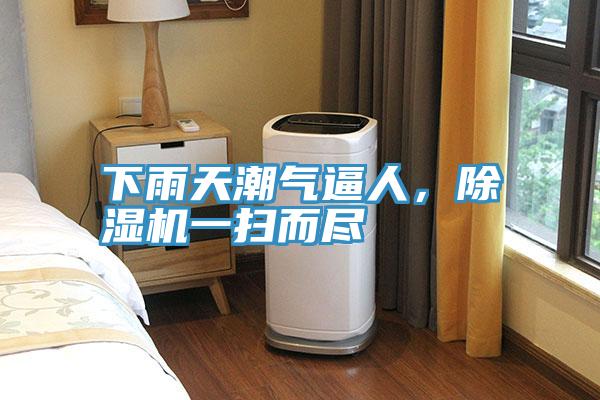 下雨天潮氣逼人，除濕機(jī)一掃而盡