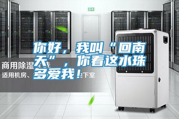你好，我叫“回南天”，你看這水珠多愛我！