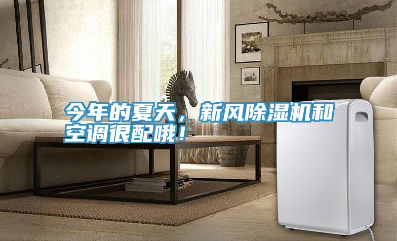 今年的夏天，新風(fēng)除濕機和空調(diào)很配哦！