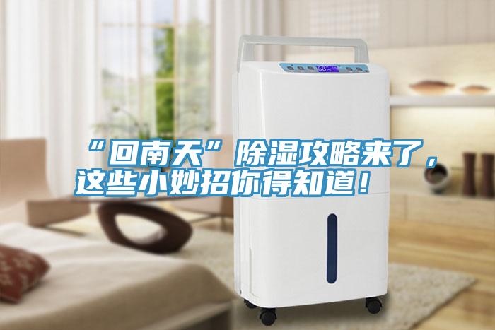 “回南天”除濕攻略來了，這些小妙招你得知道！
