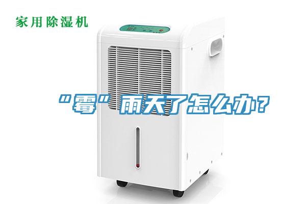 “霉”雨天了怎么辦？