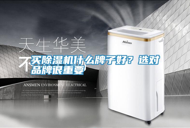 買除濕機(jī)什么牌子好？選對品牌很重要