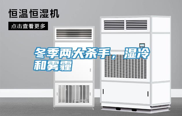 冬季兩大殺手，濕冷和霧霾