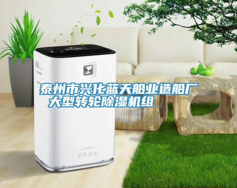 泰州市興化藍(lán)天船業(yè)造船廠 大型轉(zhuǎn)輪除濕機組