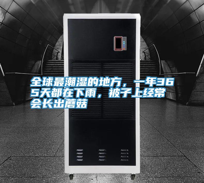 全球最潮濕的地方，一年365天都在下雨，被子上經(jīng)常會長出蘑菇