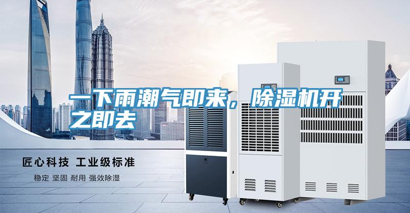 一下雨潮氣即來，除濕機開之即去