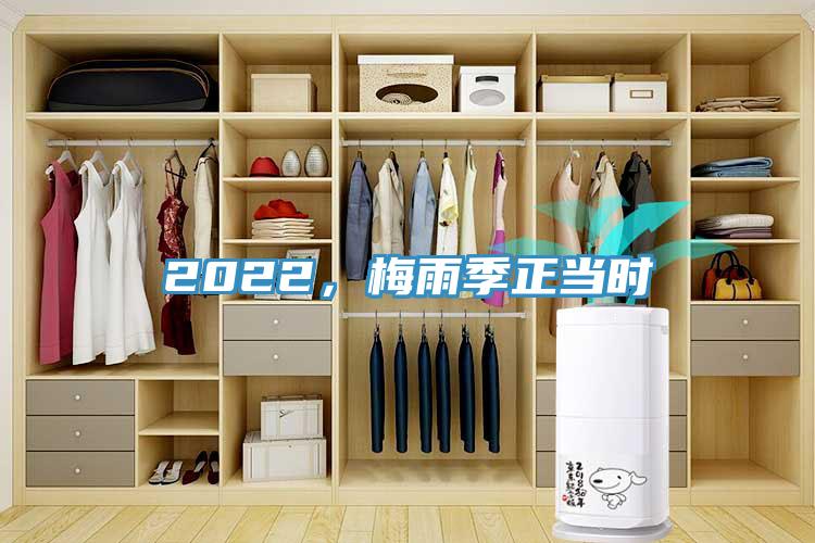 2022，梅雨季正當(dāng)時