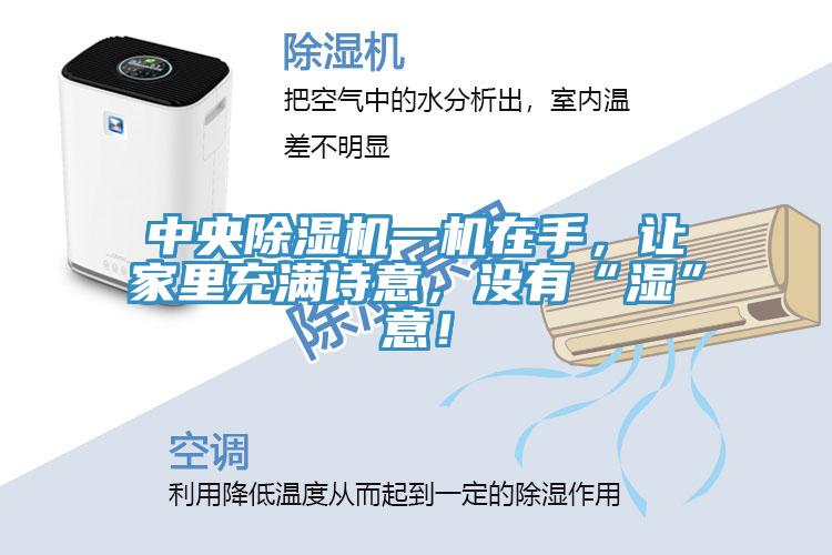 中央除濕機(jī)一機(jī)在手，讓家里充滿詩意，沒有“濕”意！