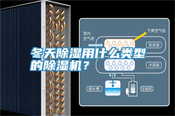冬天除濕用什么類型的除濕機(jī)？