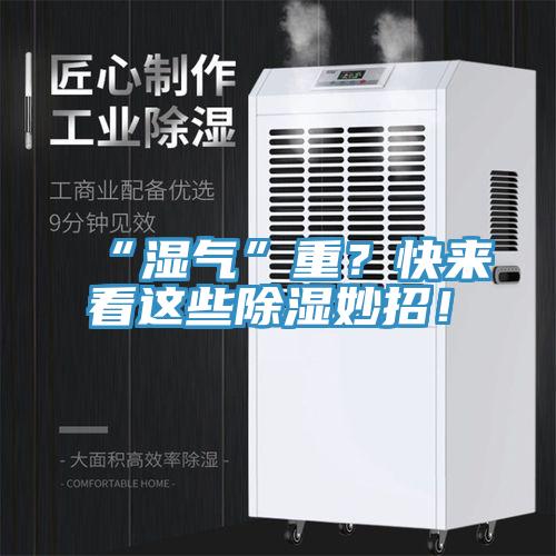 “濕氣”重？快來看這些除濕妙招！