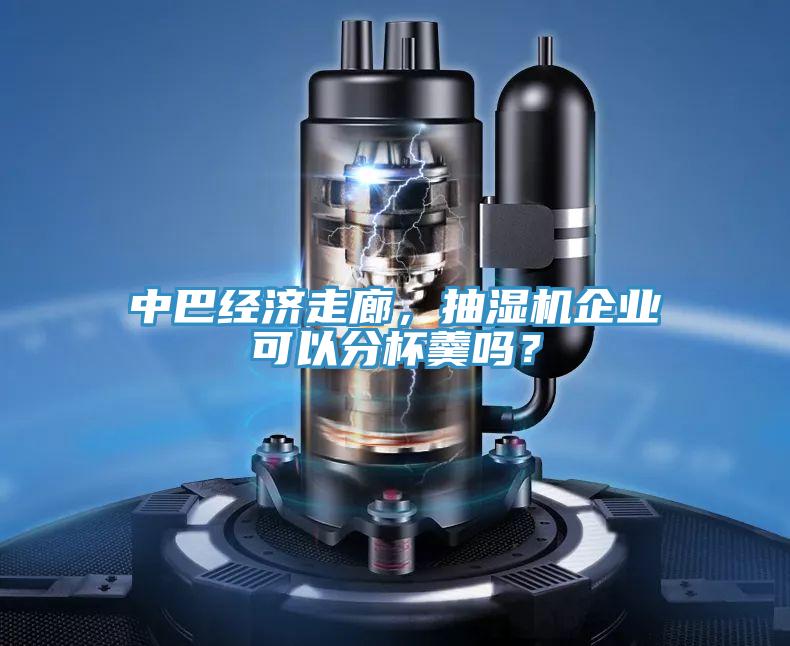 中巴經(jīng)濟(jì)走廊，抽濕機(jī)企業(yè)可以分杯羹嗎？