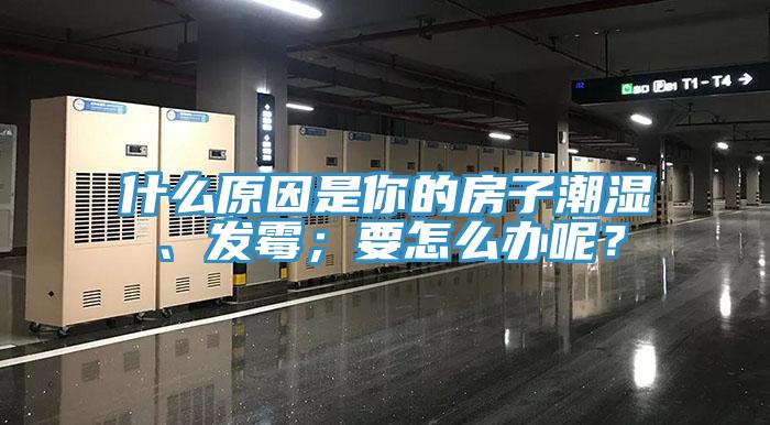 什么原因是你的房子潮濕、發(fā)霉；要怎么辦呢？