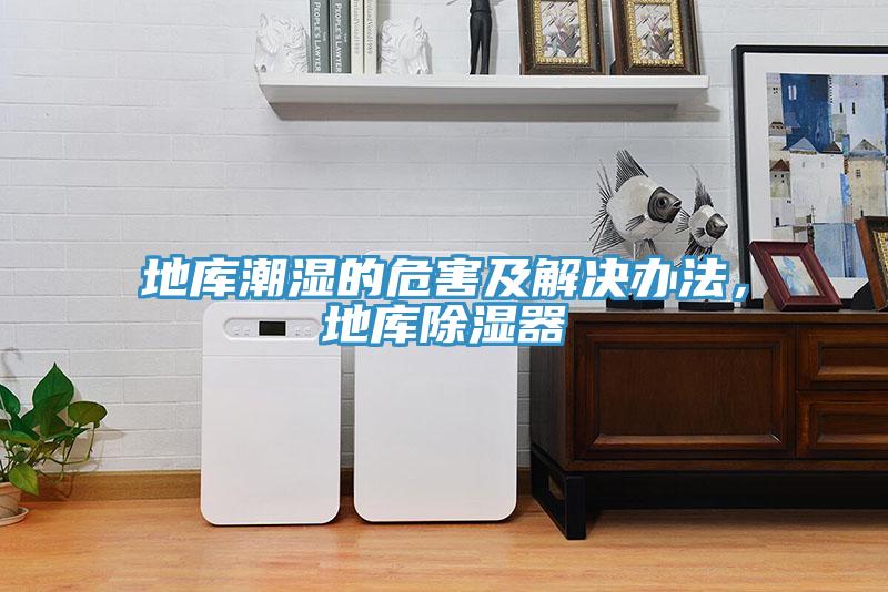 地庫(kù)潮濕的危害及解決辦法，地庫(kù)除濕器