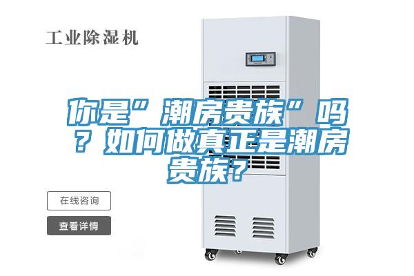 你是”潮房貴族”嗎？如何做真正是潮房貴族？