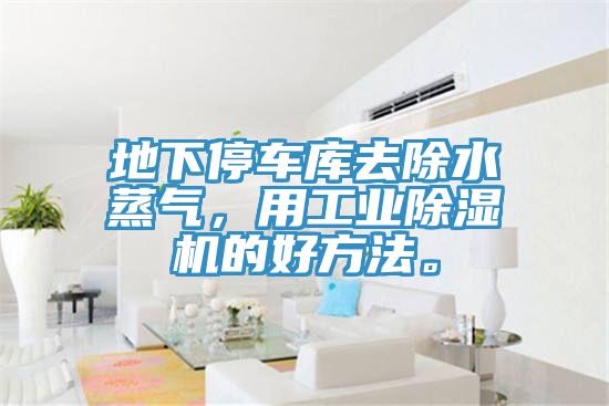地下停車庫去除水蒸氣，用工業(yè)除濕機的好方法。