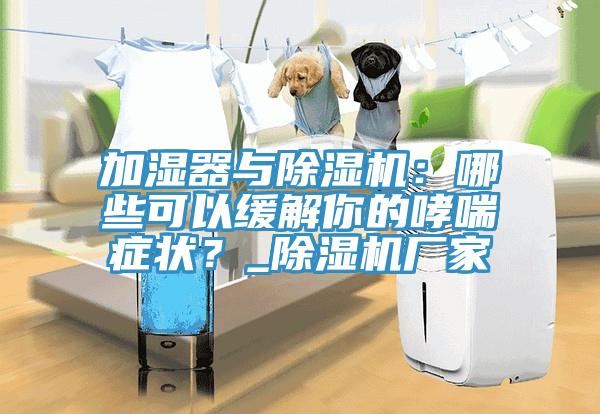 加濕器與除濕機(jī)：哪些可以緩解你的哮喘癥狀？_除濕機(jī)廠家
