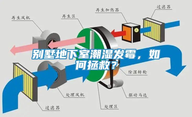 別墅地下室潮濕發(fā)霉，如何拯救？