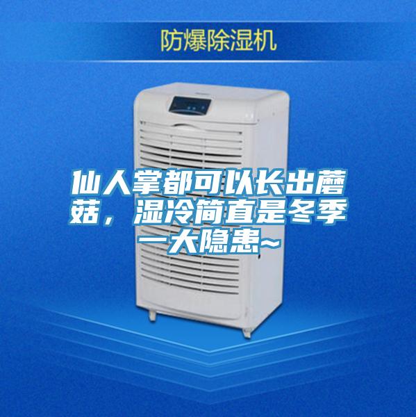 仙人掌都可以長(zhǎng)出蘑菇，濕冷簡(jiǎn)直是冬季一大隱患~