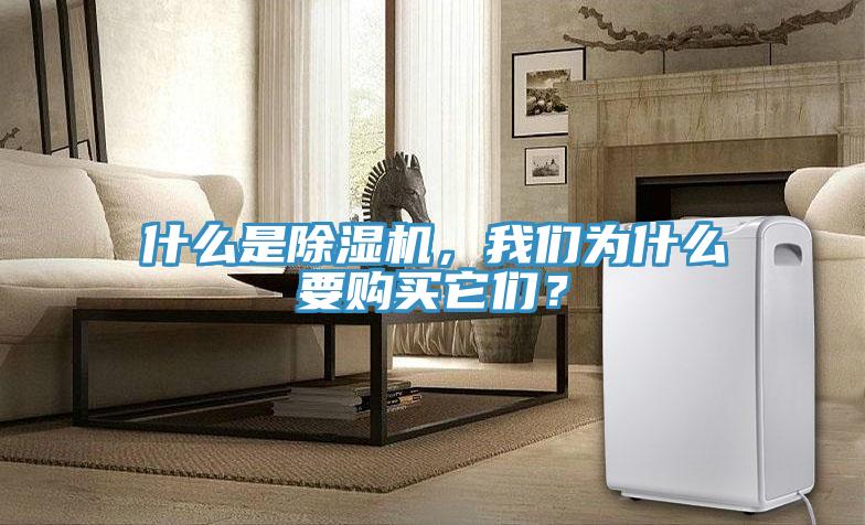 什么是除濕機(jī)，我們?yōu)槭裁匆?gòu)買它們？