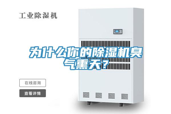 為什么你的除濕機(jī)臭氣熏天？