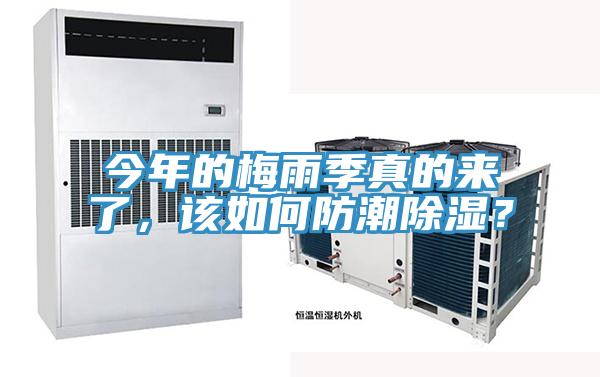 今年的梅雨季真的來了，該如何防潮除濕？
