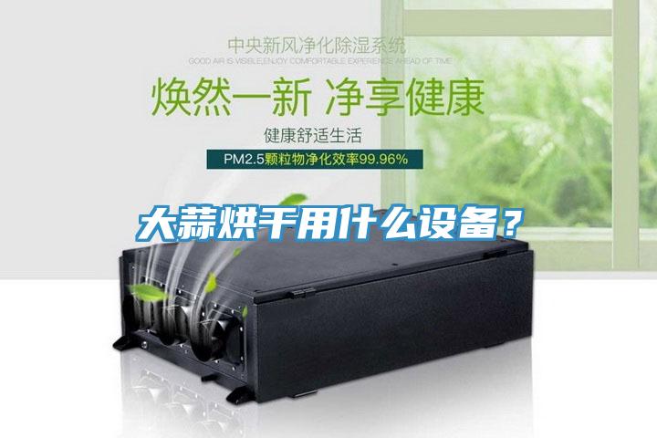 大蒜烘干用什么設(shè)備？
