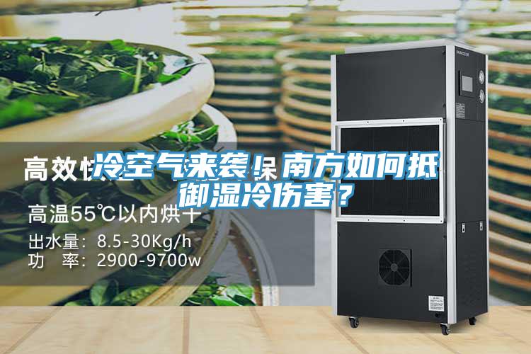 冷空氣來襲！南方如何抵御濕冷傷害？