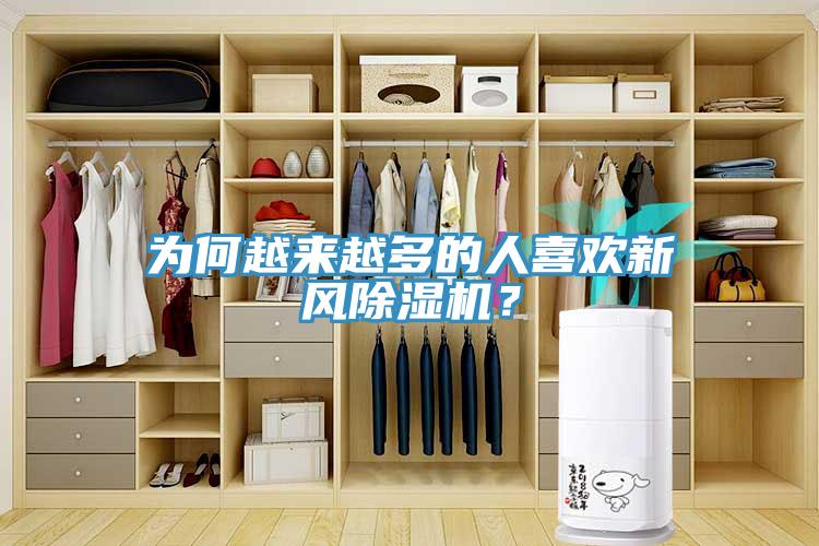為何越來越多的人喜歡新風除濕機？