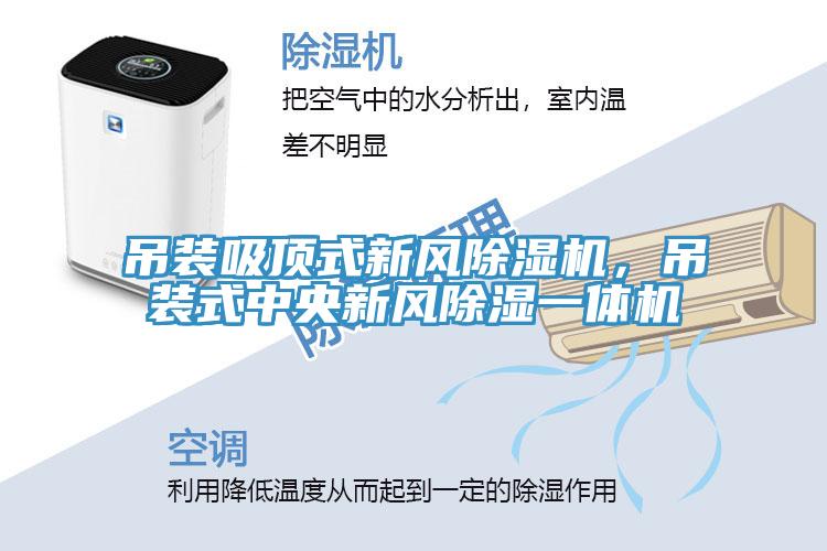 吊裝吸頂式新風(fēng)除濕機(jī)，吊裝式中央新風(fēng)除濕一體機(jī)
